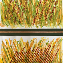 calligraphy commission